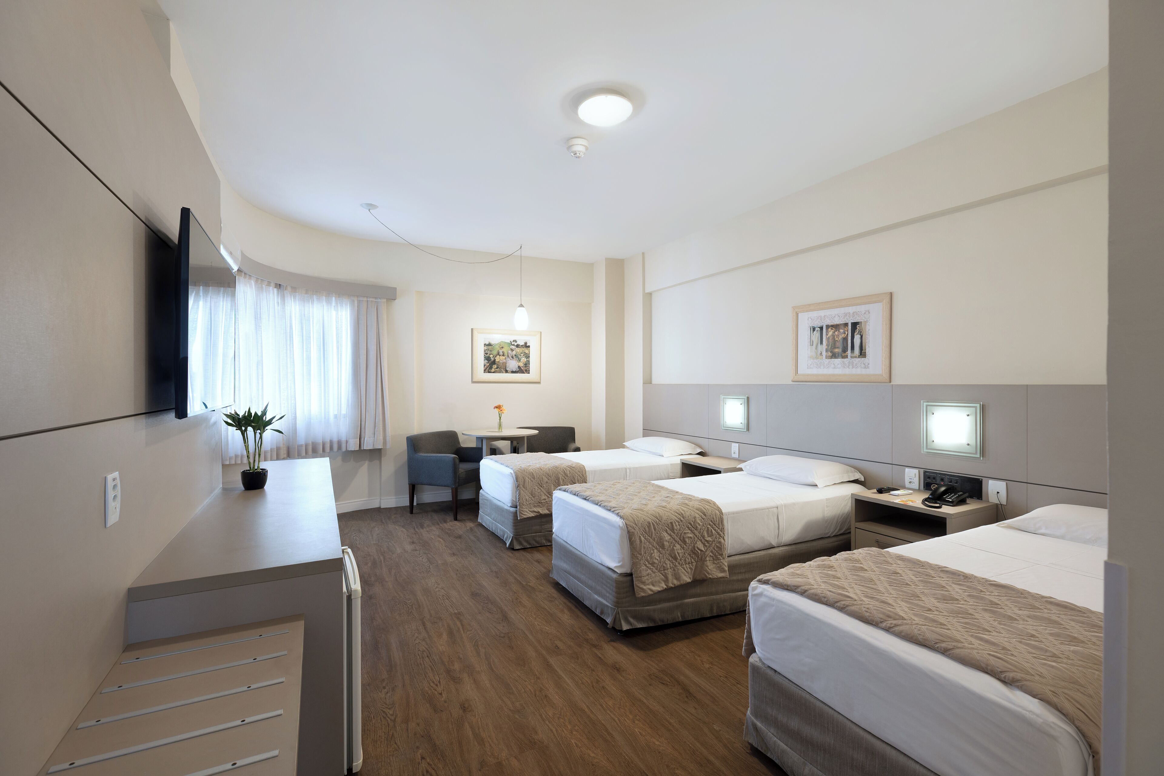 Habitación de hotel con dos camas individuales, un escritorio, una silla, un televisor y una mesita con una planta.