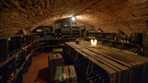 An underground wine cellar with wooden benches and shelves of wine bottles.