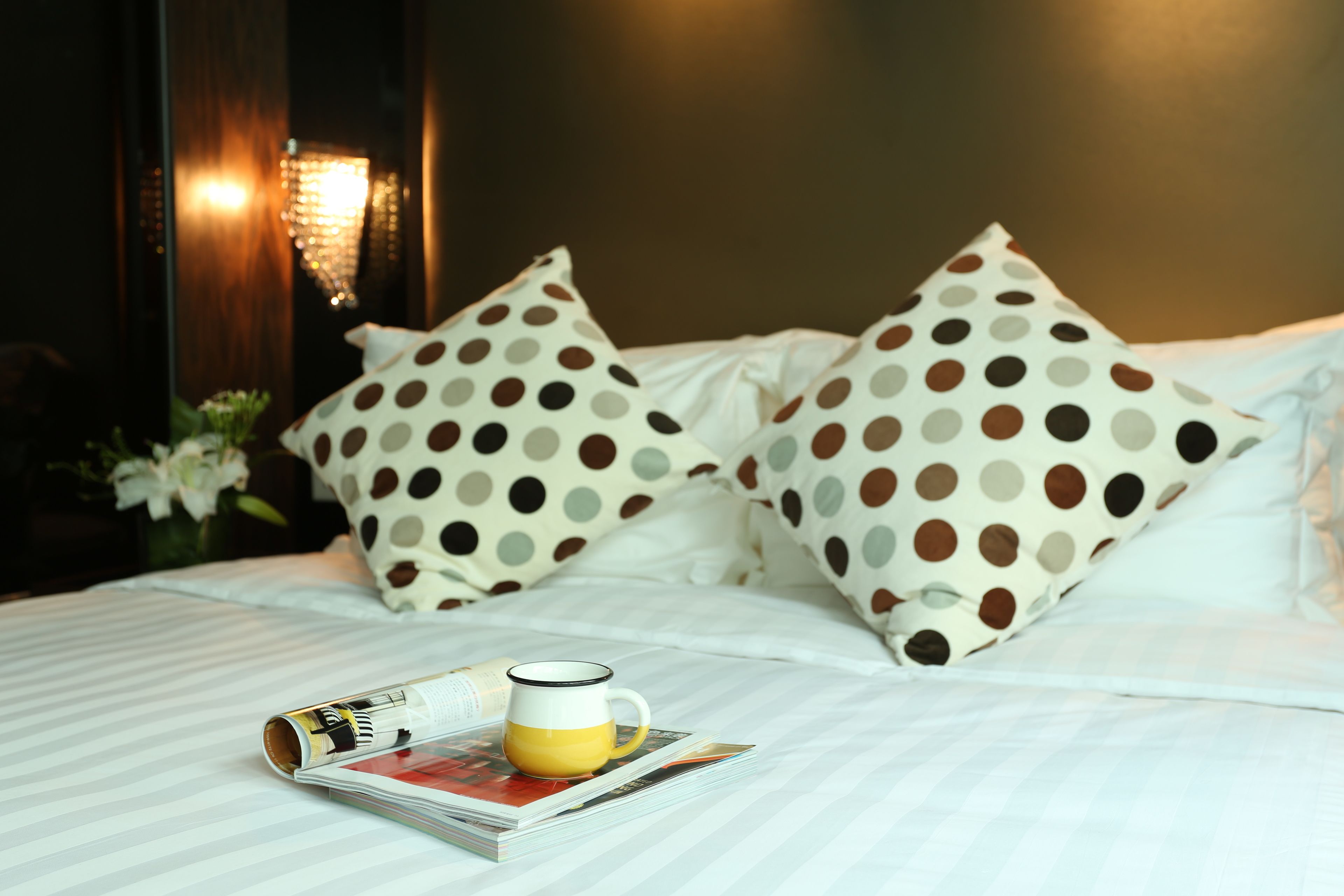 Foto - Sohotel