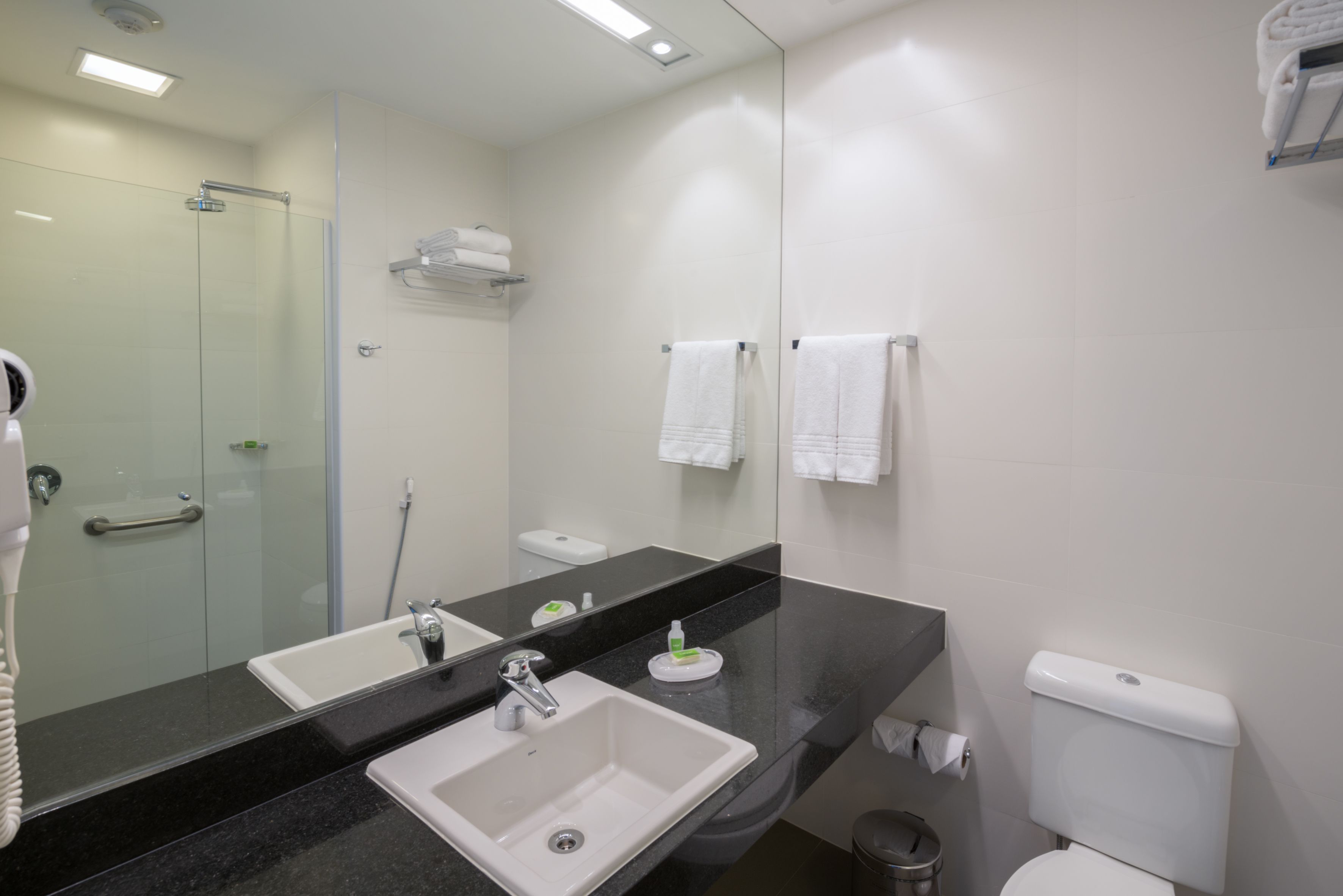 A modern bathroom with a glass-enclosed shower, a sink with a mirror, and a toilet.