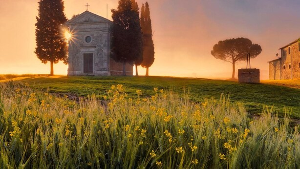 A church with a bell tower, surrounded by trees and a field of yellow flowers.