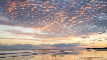 Enjoy serene beachside tranquility with the soothing sound of waves gently lapping against the shore.