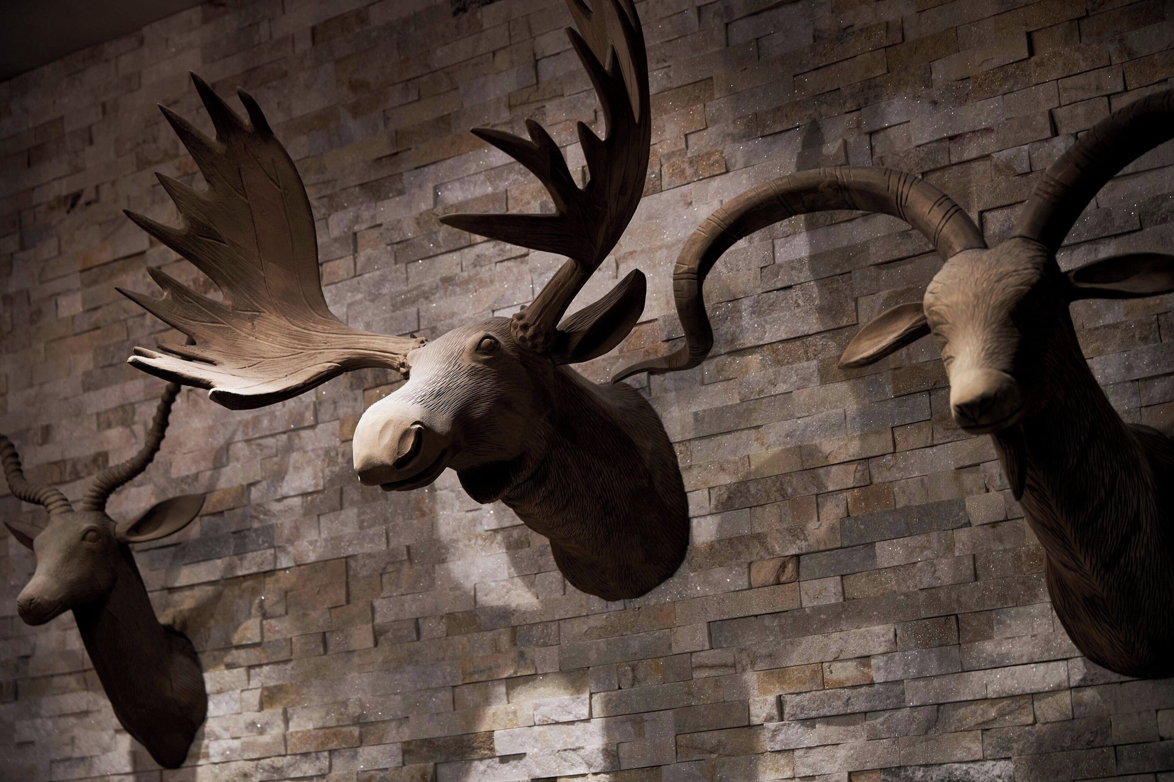 A wall with mounted animal heads, likely for decorative purposes.