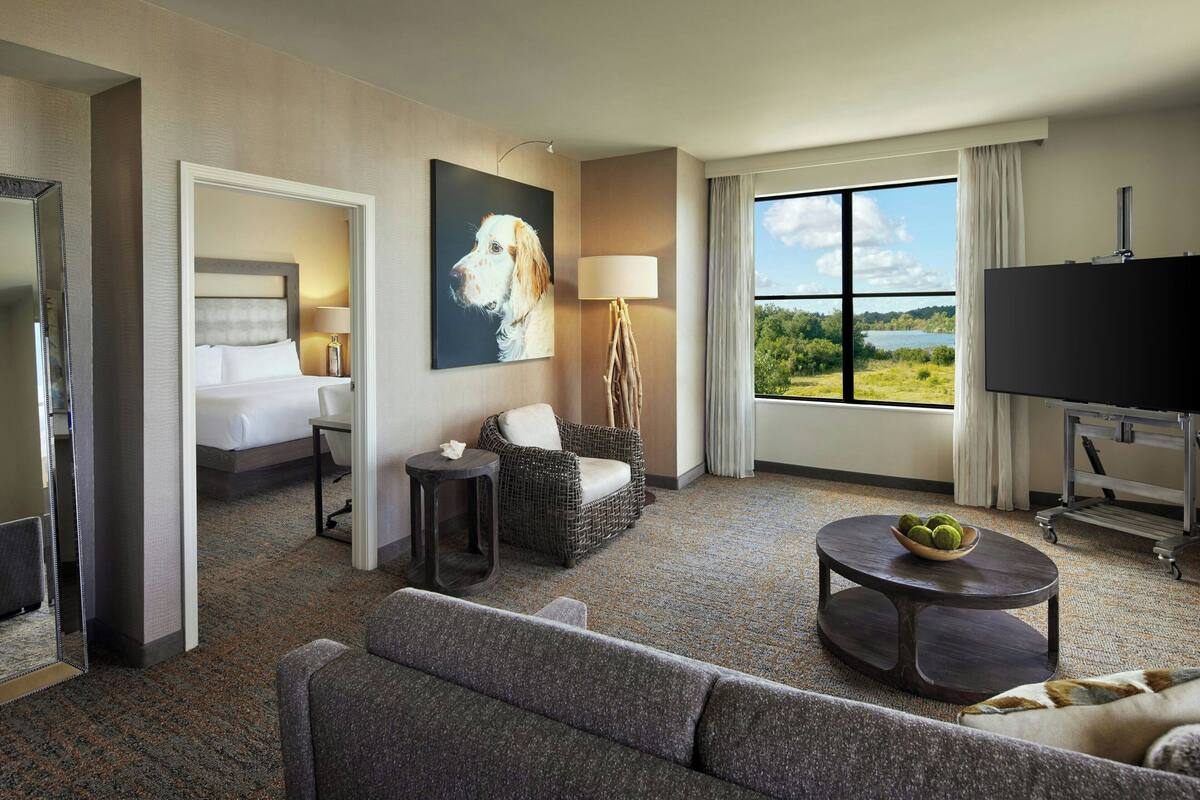 A hotel room with a bed, a sofa, a chair, a TV, a lamp, and a view of the outdoors.