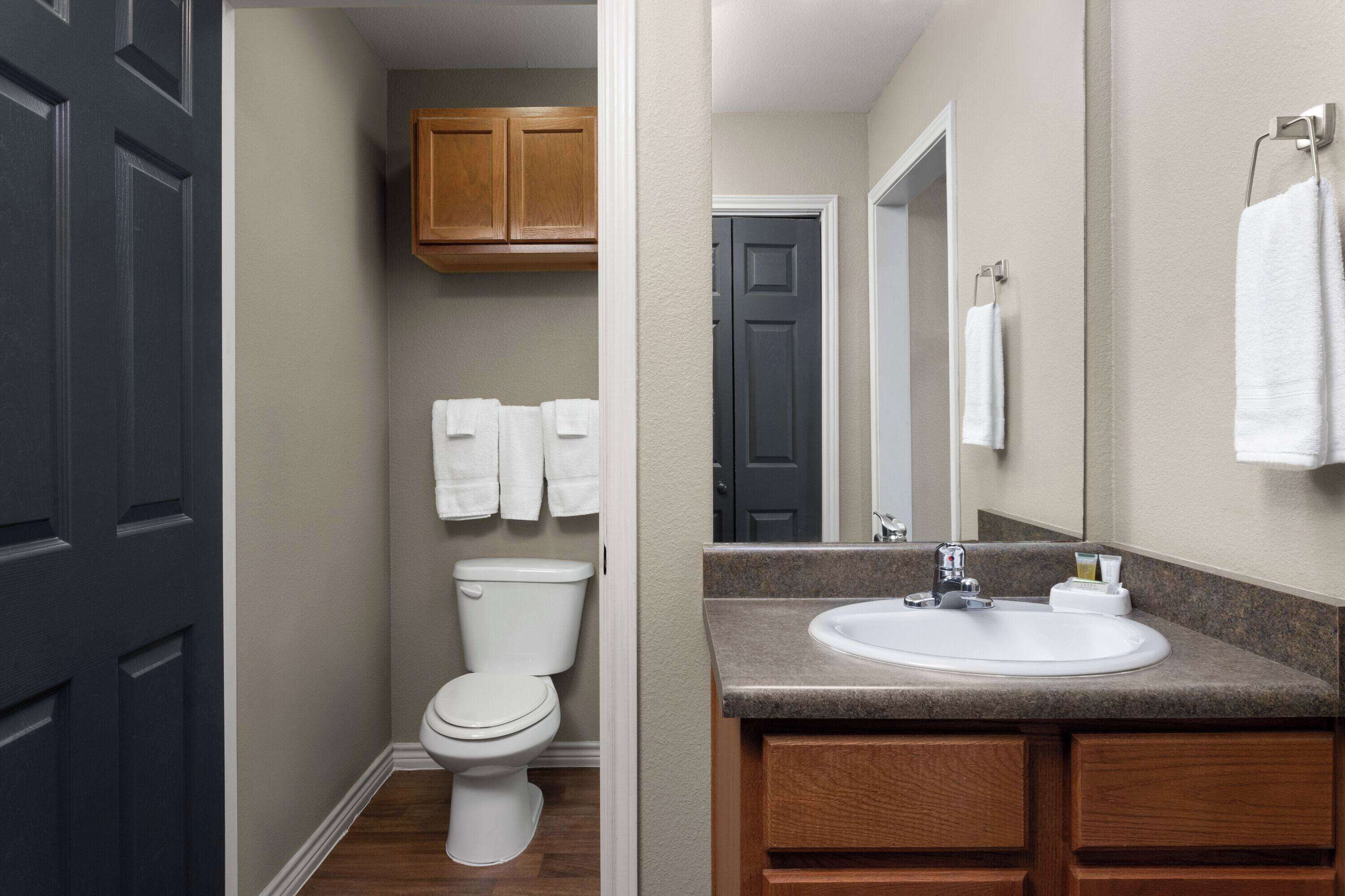 A bathroom with a toilet, a sink, wooden cabinets, and a mirror.