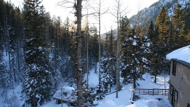 A snow-covered forest with a cabin and a wooden fence. - Amizette Inn and Restaurant (Taos Ski Valley)