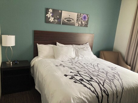 Sleep Inn Suites Pigeon Forge Downtown - Image 46