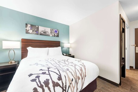 Sleep Inn Suites Pigeon Forge Downtown - Image 45
