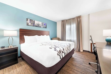 Sleep Inn Suites Pigeon Forge Downtown - Image 42