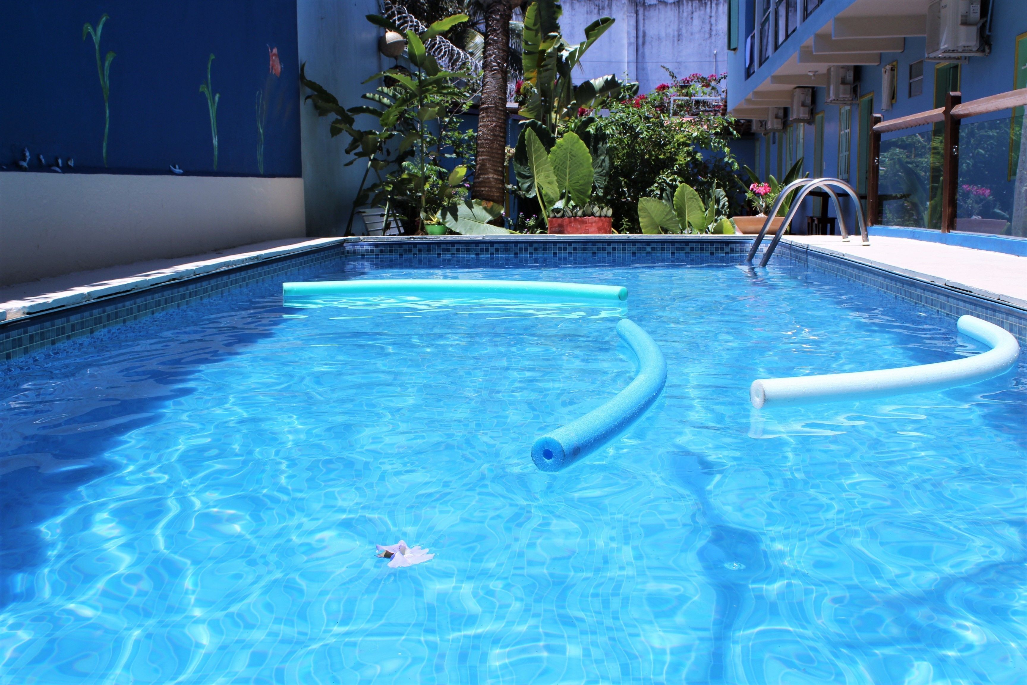 室外泳池；躺椅