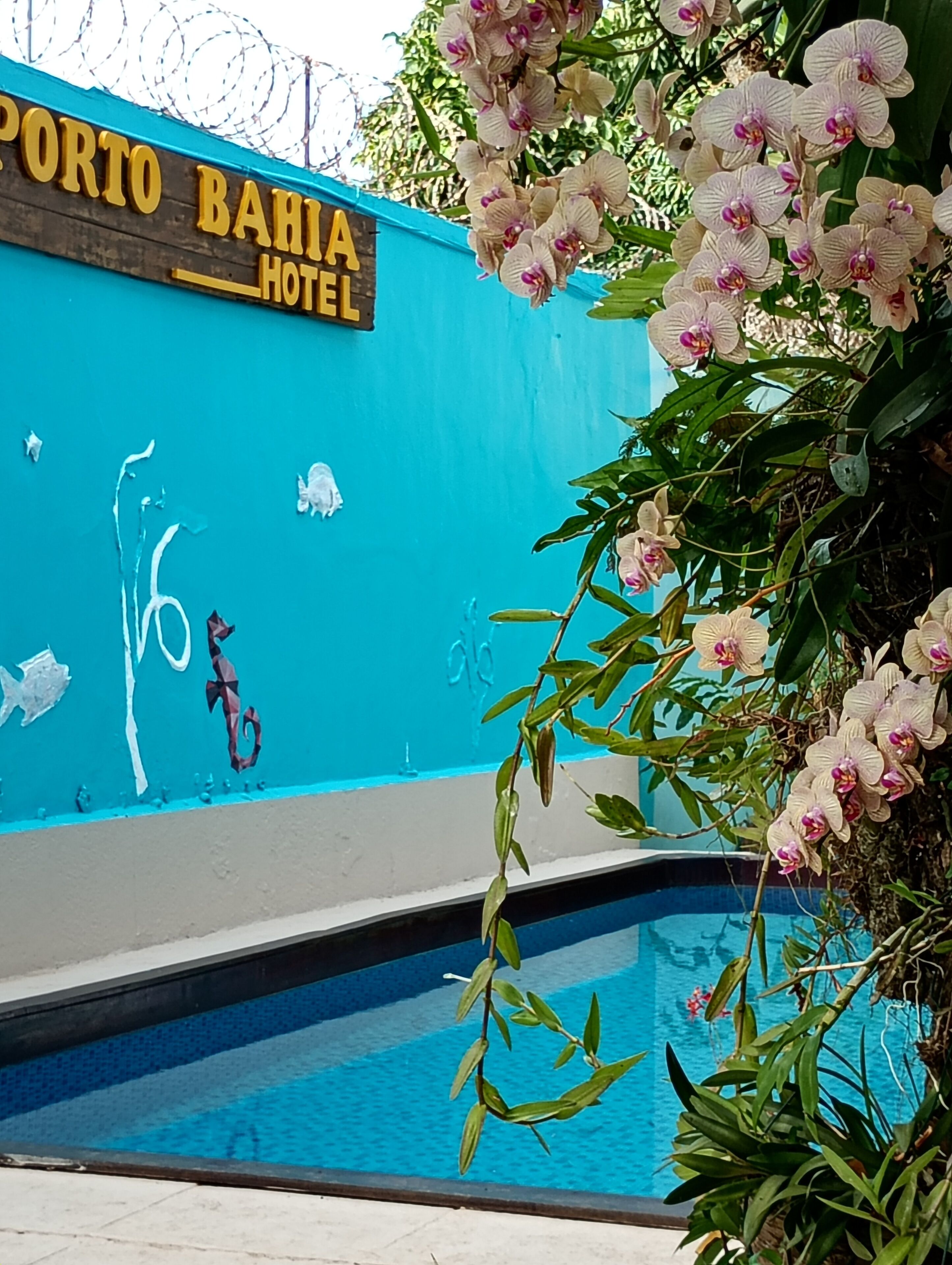 Et poolområde med et skilt for Porto Bahia Hotel, omgivet af tropiske planter og blomster.