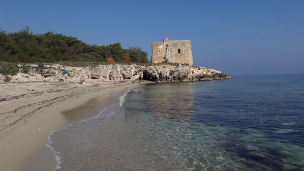 بالقرب من الشاطئ