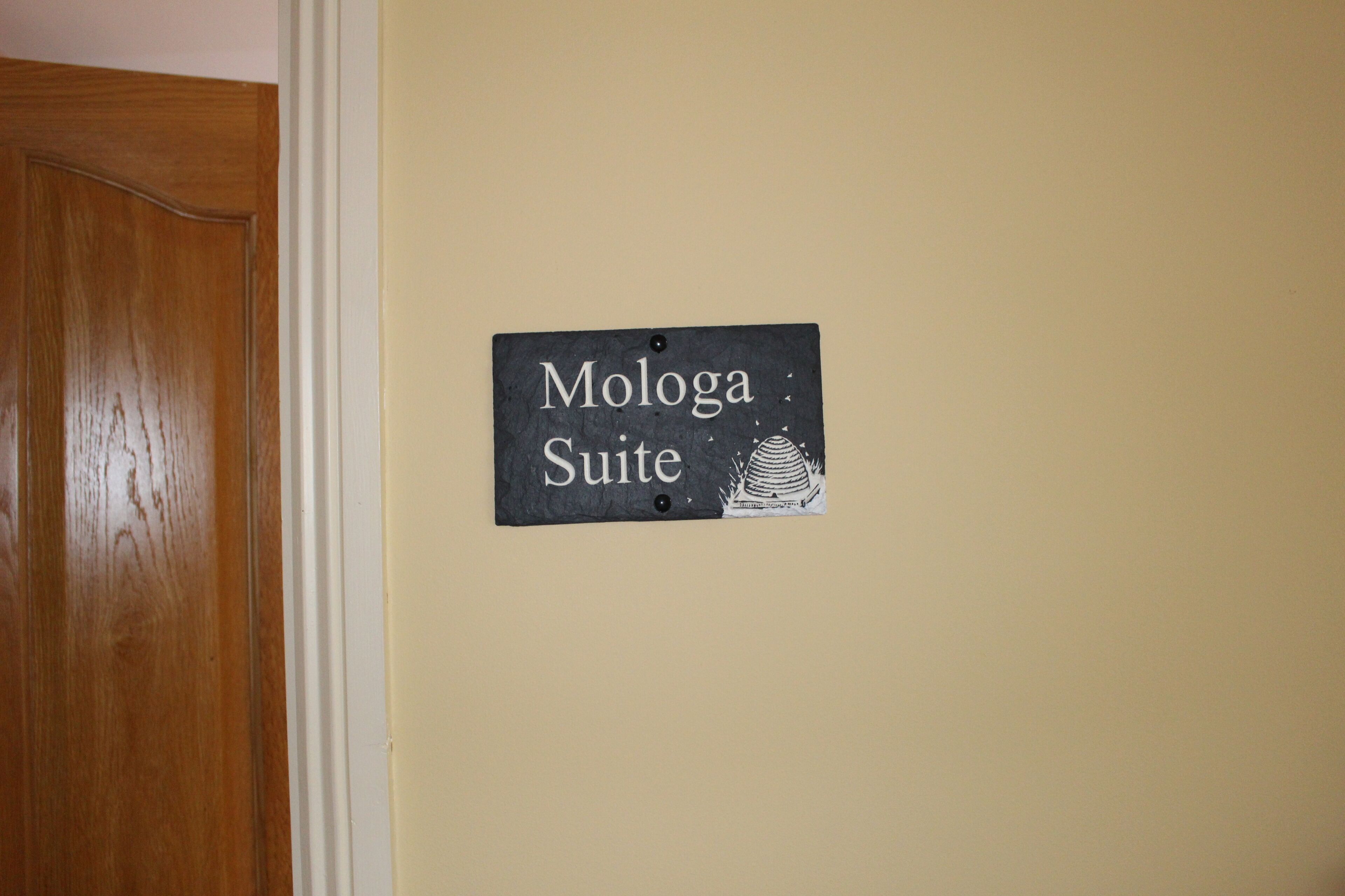 Un cartel en la pared que dice 'Mologa Suite' con un pequeño gráfico de panal.