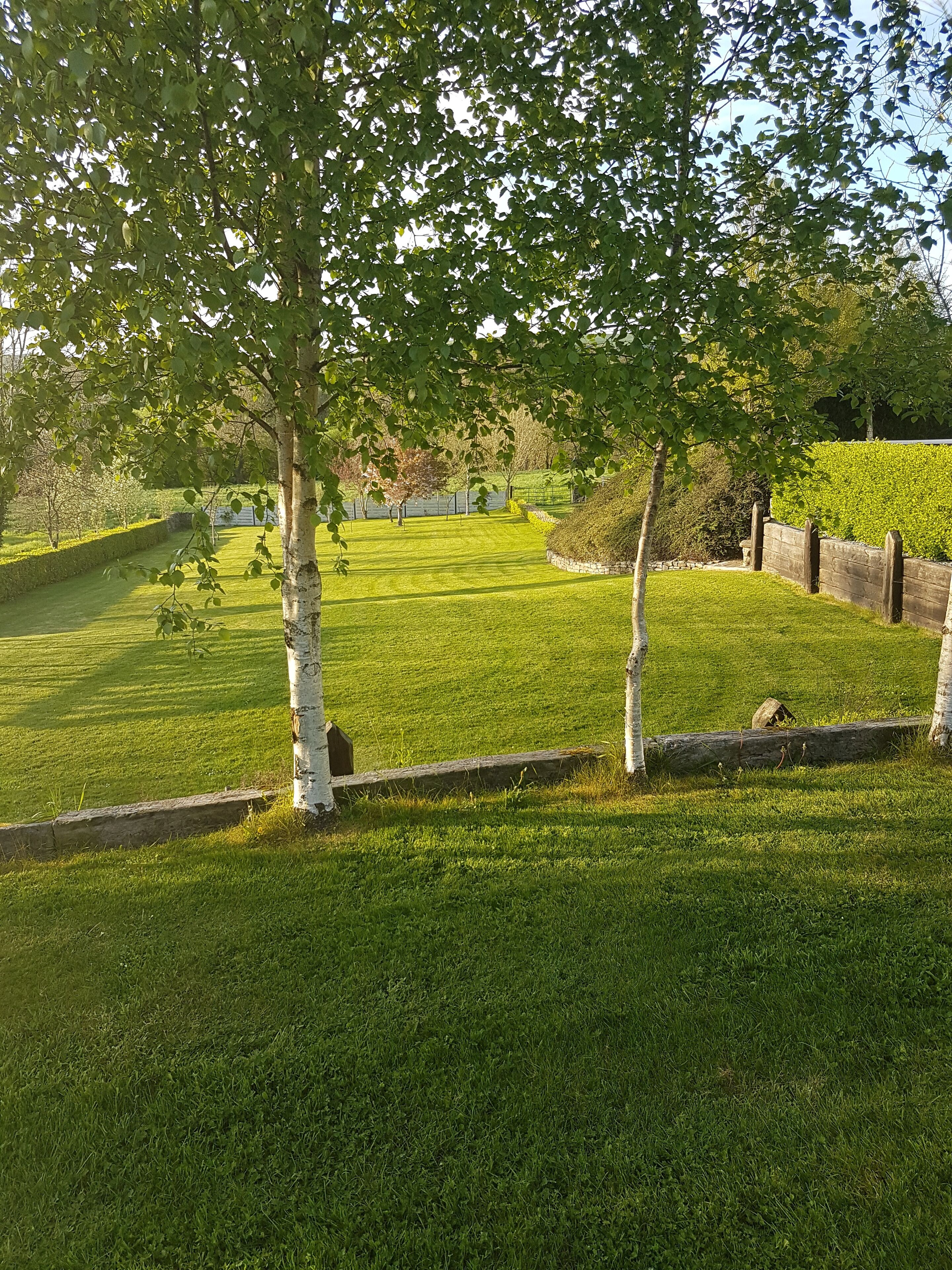 Un área verde bien cuidada con árboles y valla de madera.