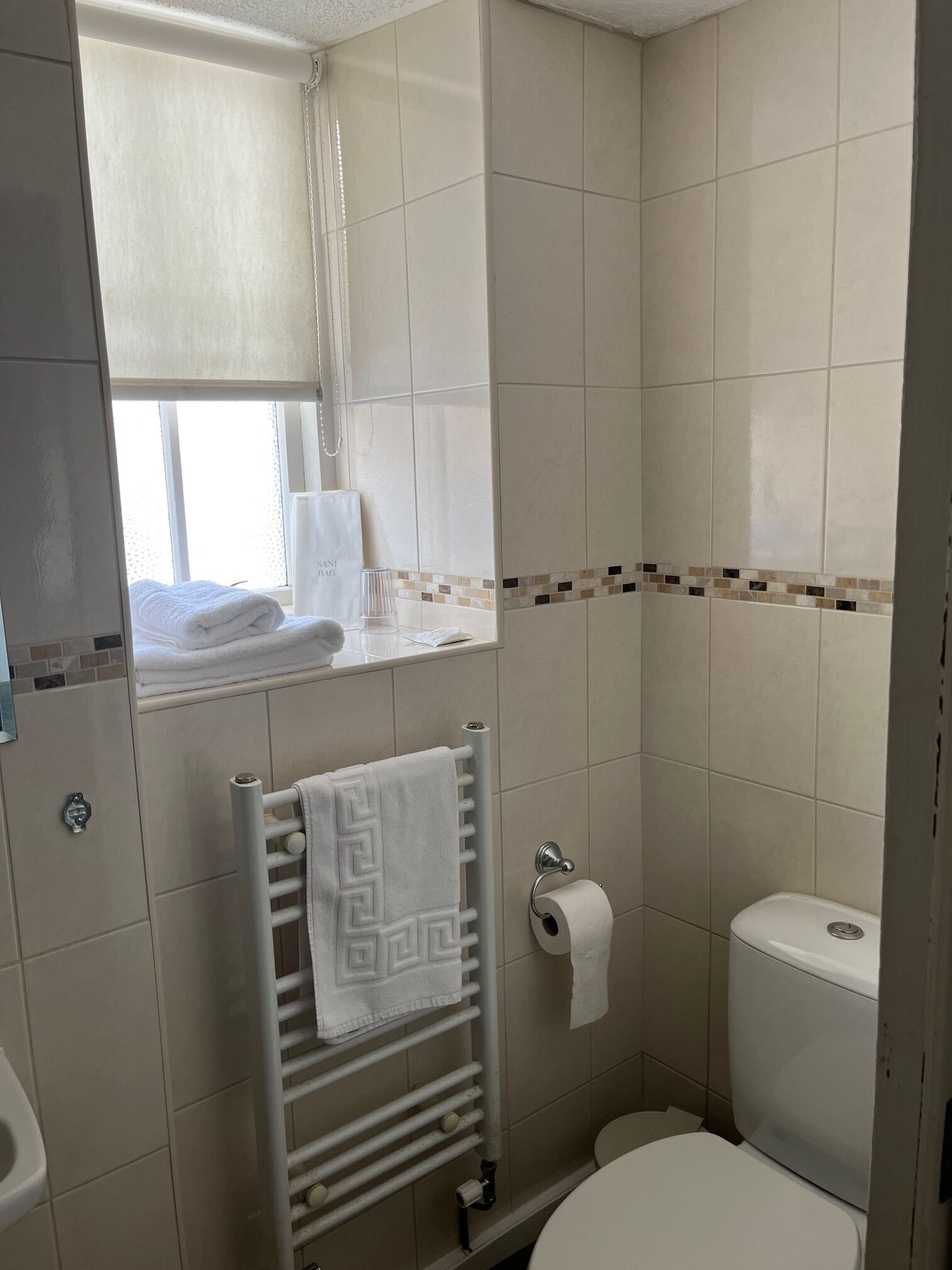 Un baño con inodoro, toallero con toalla, dispensador de papel higiénico y ventana con una toalla en el alféizar.