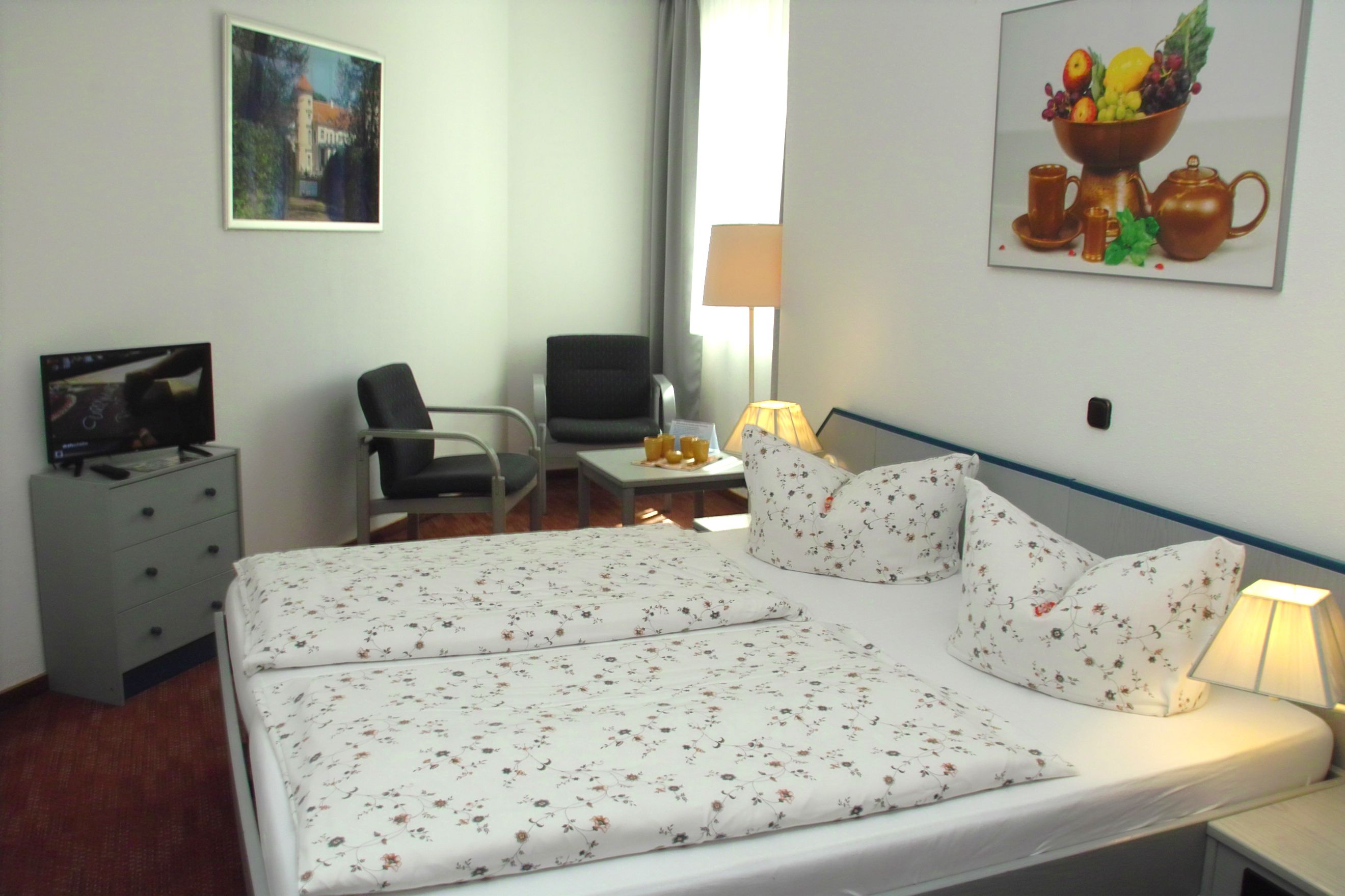 Ropa de cama hipoalergénica y cortinas blackout 