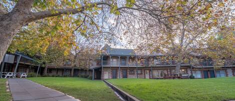 A courtyard with a paved walkway, a grassy lawn, and a building with a balcony.