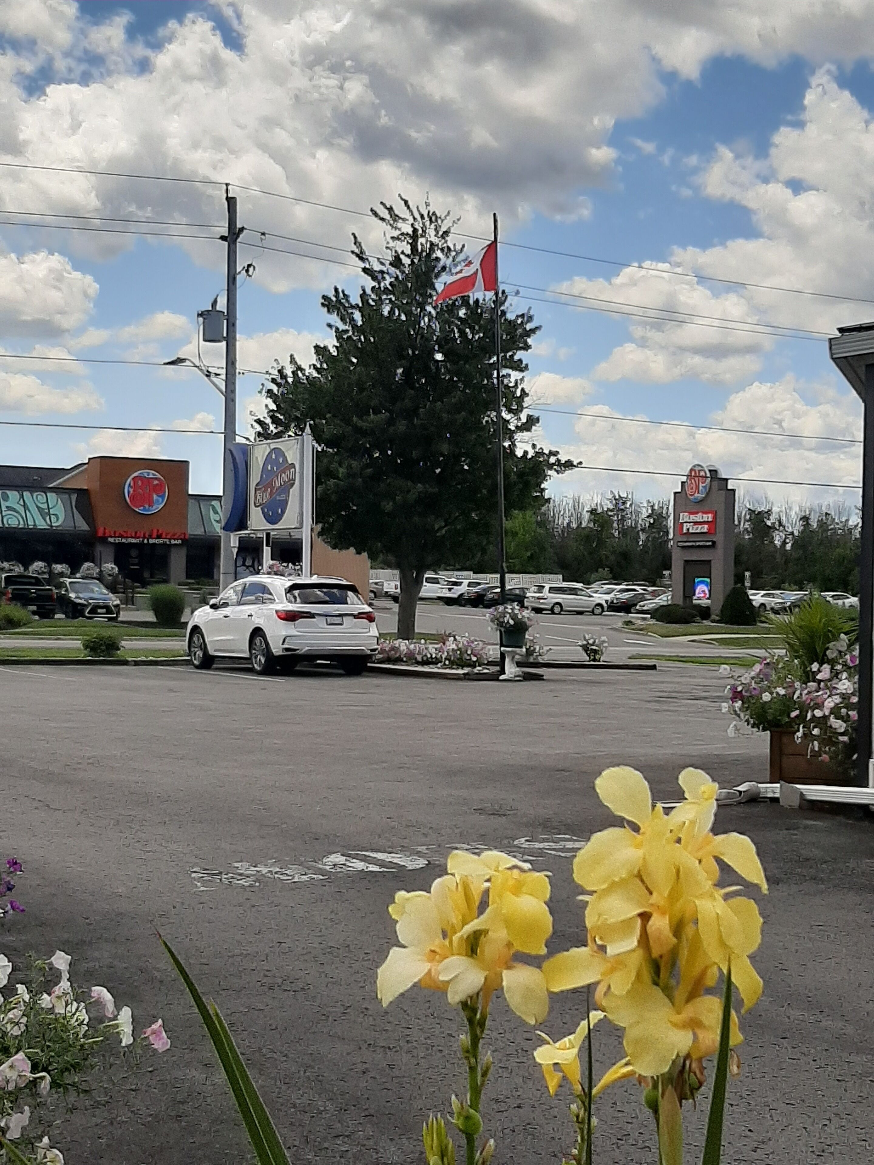 Foto - Blue Moon Motel