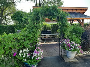 Un espace extérieur aménagé en terrasse, doté d’une pergola recouverte de verdure, d’un barbecue et de plantes en pot.