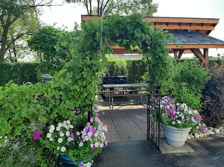 バーベキュー / ピクニック エリア