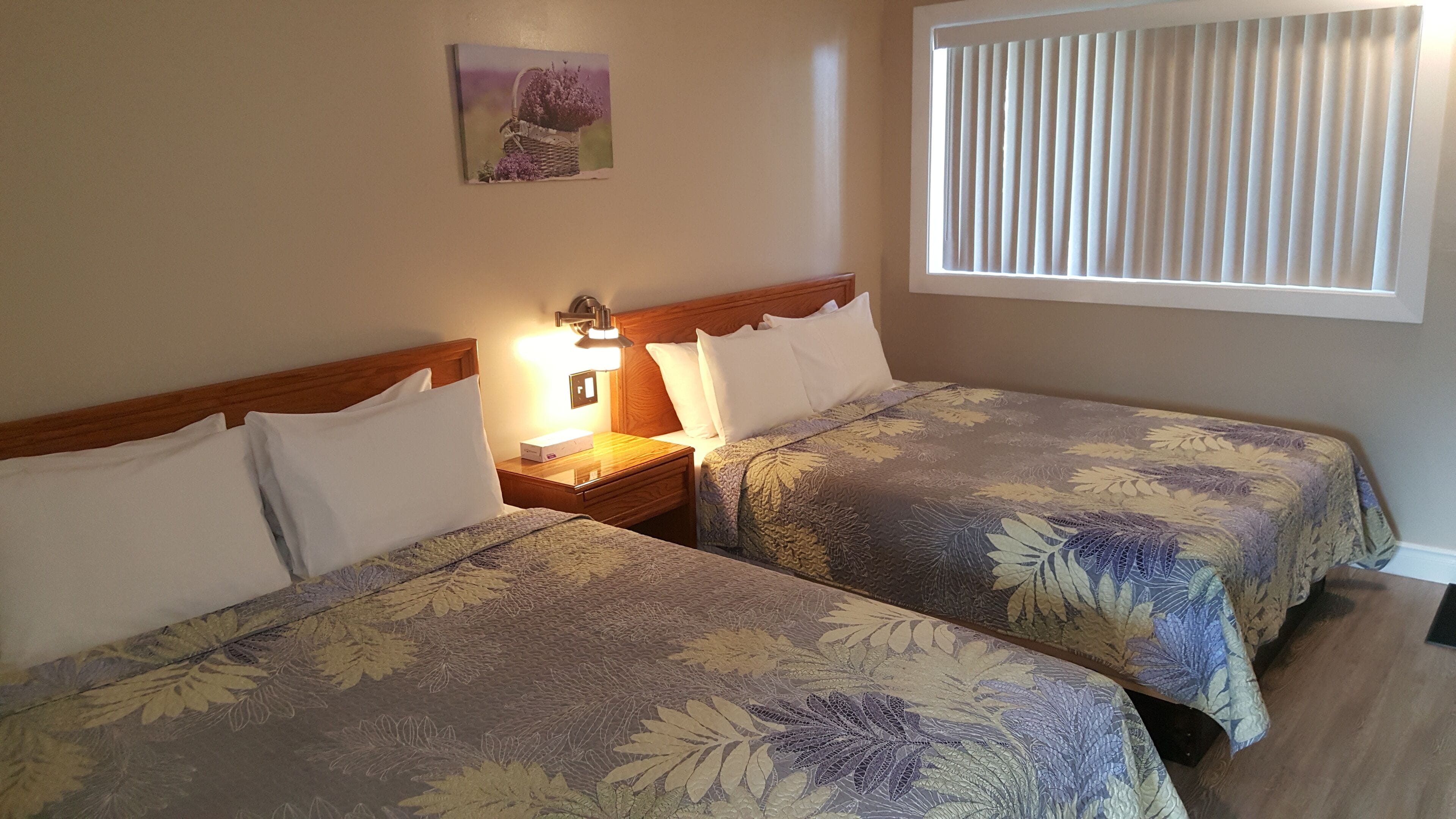 Foto - Blue Moon Motel