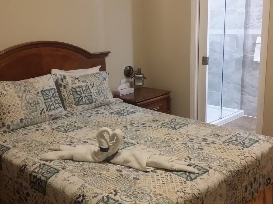 Blackout curtains, iron/ironing board, free WiFi, bed sheets