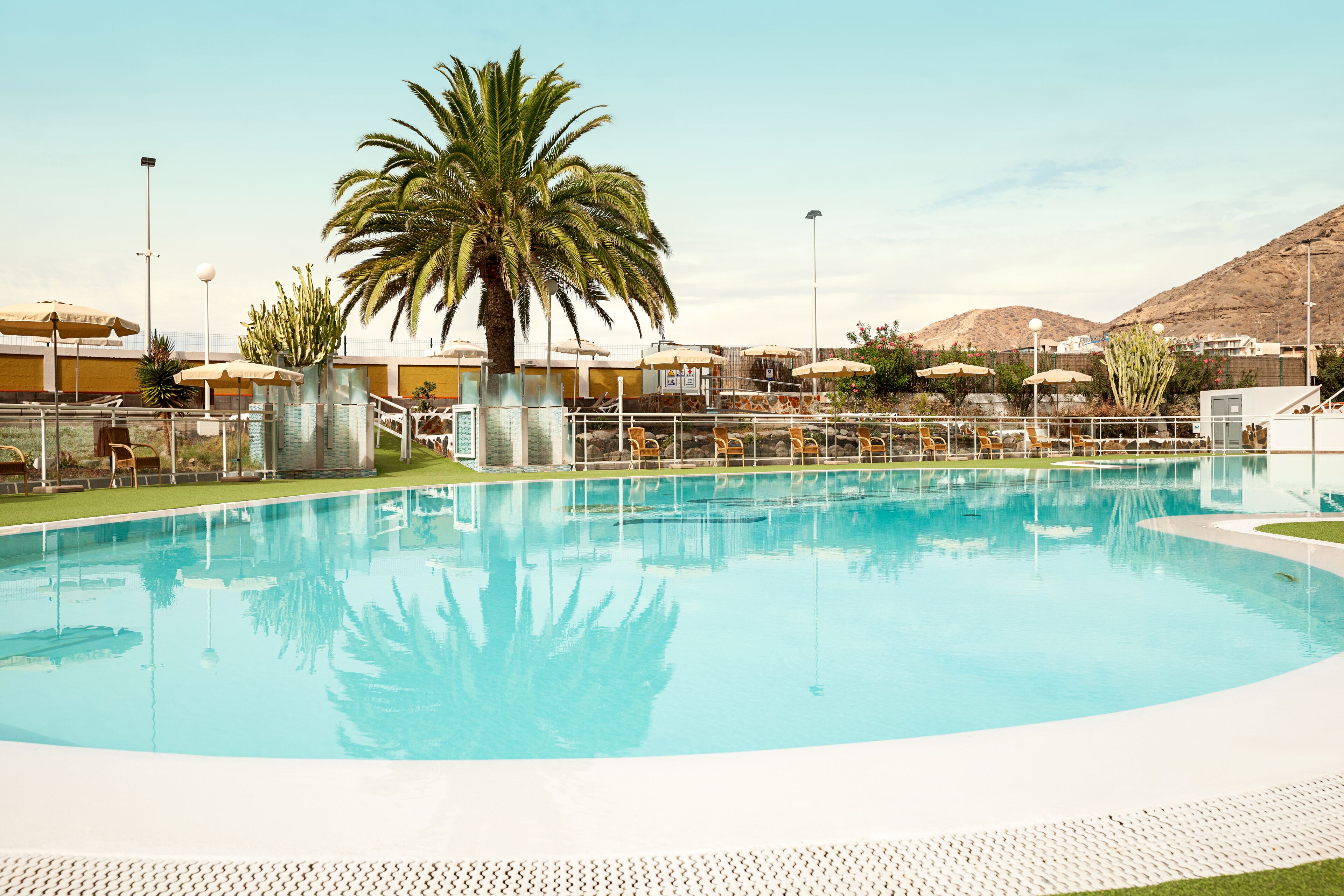 Una piscina amplia y cristalina con una palmera y sombrillas al fondo.
