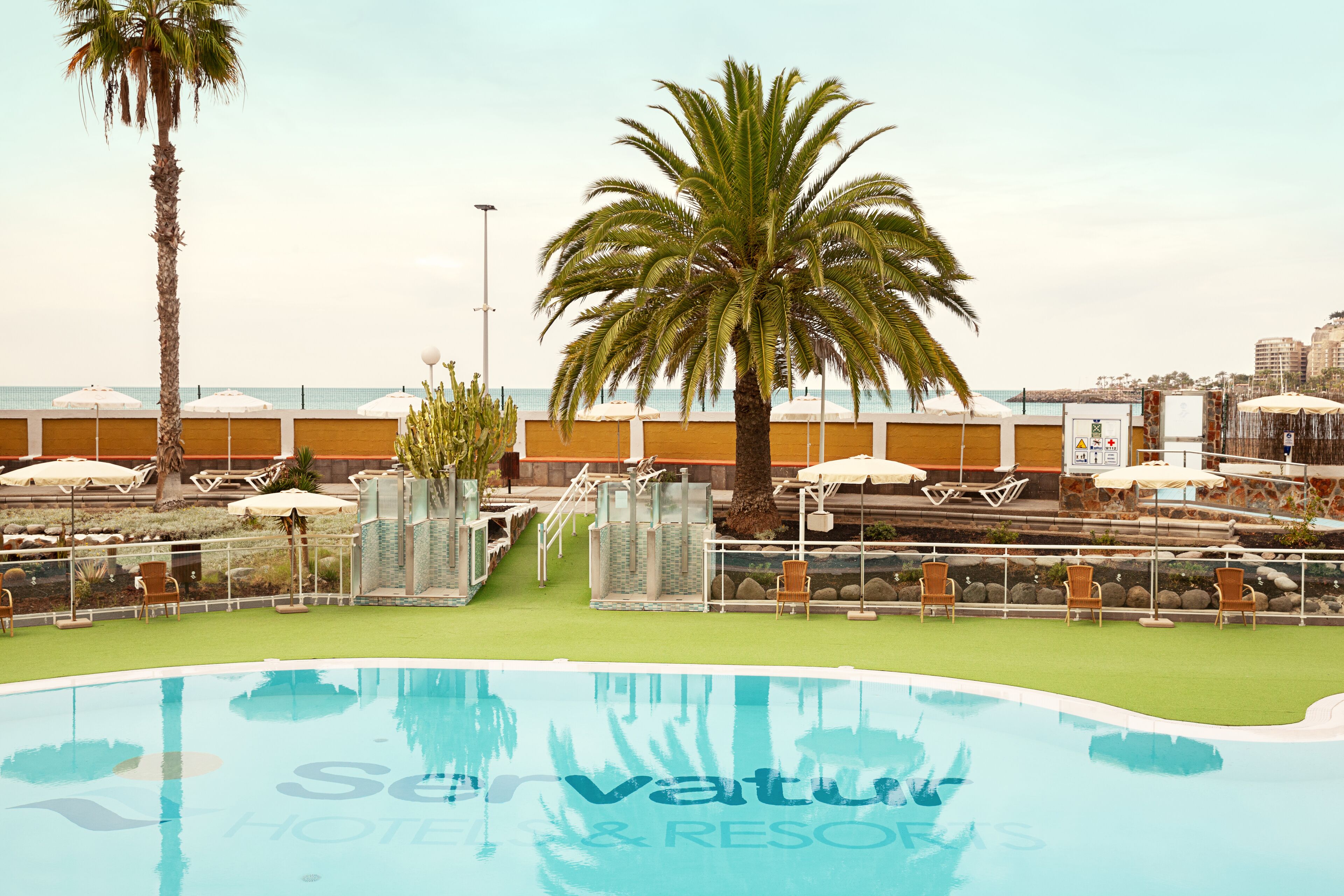 A pool area with lounge chairs and umbrellas, a palm tree, and a view of the sea.