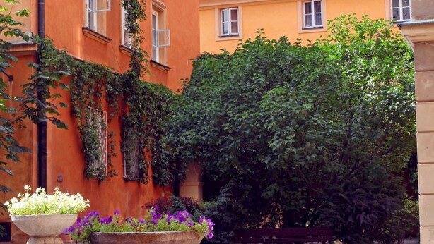 Pátio com parede de tijolos, um grande vaso com flores e um edifício com paredes laranja e várias janelas.