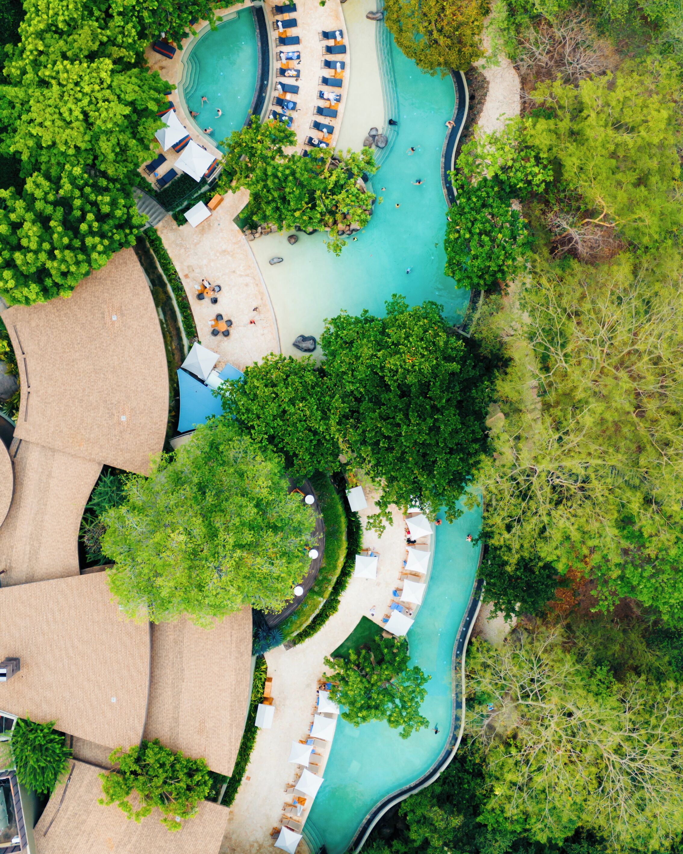 Vue aérienne d’un complexe hôtelier doté d’une grande piscine, de chaises longues et d’une végétation luxuriante.