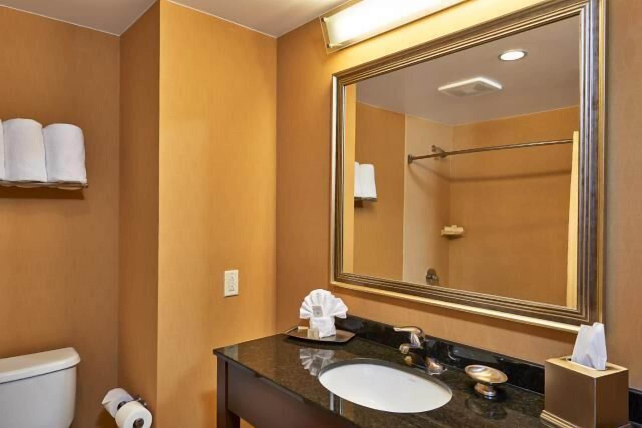 combined shower/bathtub, free toiletries, hair dryer, towels