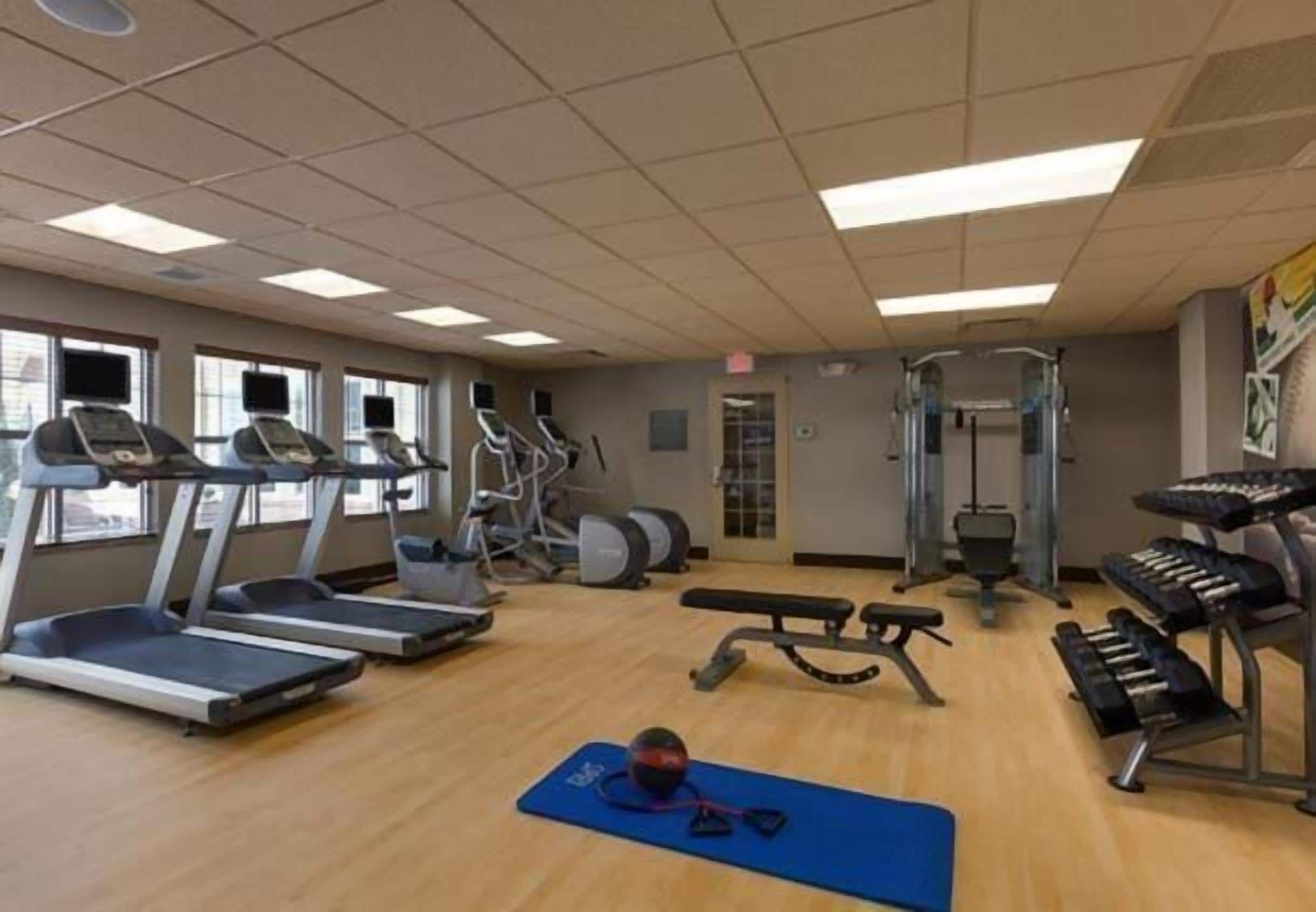 A gym with treadmills, elliptical machines, a bench, and a rowing machine.
