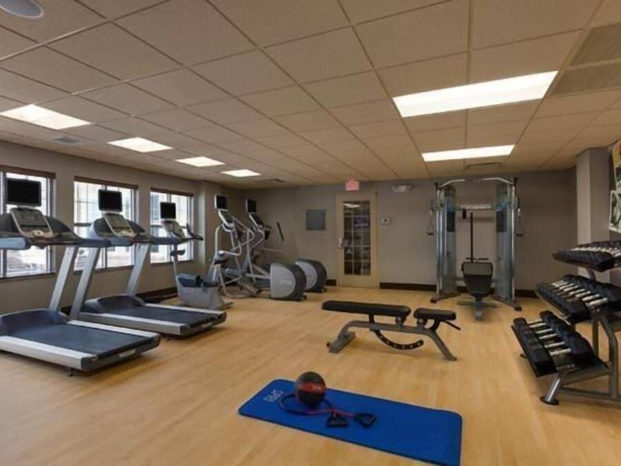 Un gimnasio con cintas de correr, elípticas, una banca y una máquina de remo.