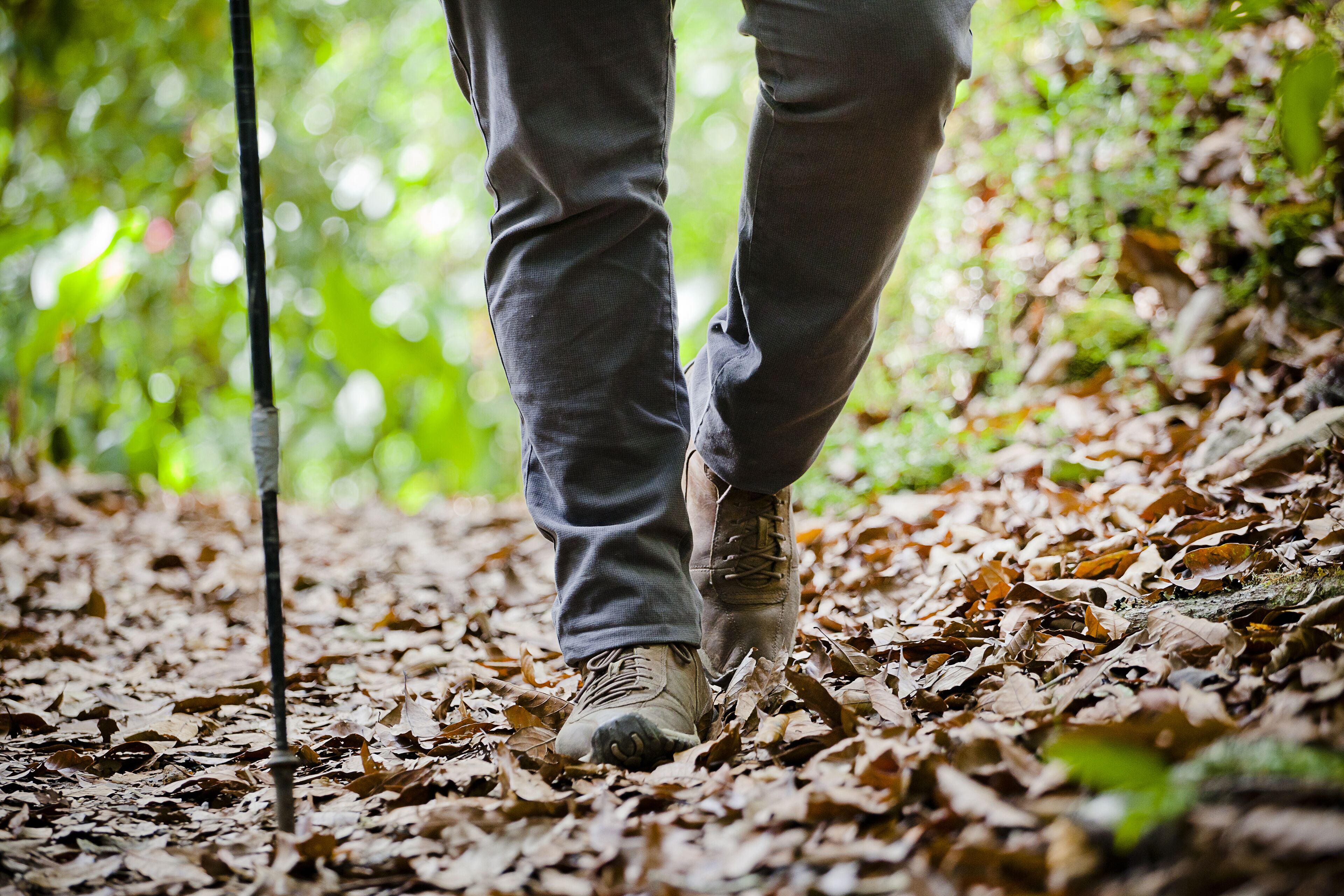 Foto - Savegre Hotel Natural Reserve & Spa