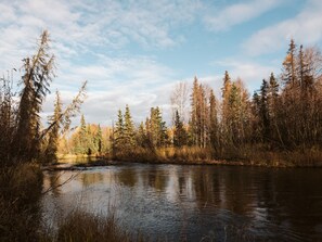 Una escena forestal serena con un río tranquilo, árboles densos y un cielo despejado.