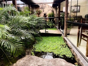 A small indoor garden with a pond, surrounded by various plants and a wooden deck. - Pousada Bon Vivant (Cabo Frio)
