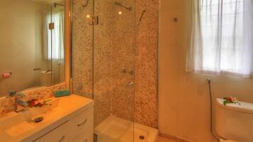A bathroom with a stone shower enclosure, a sink with toiletries, and a toilet.