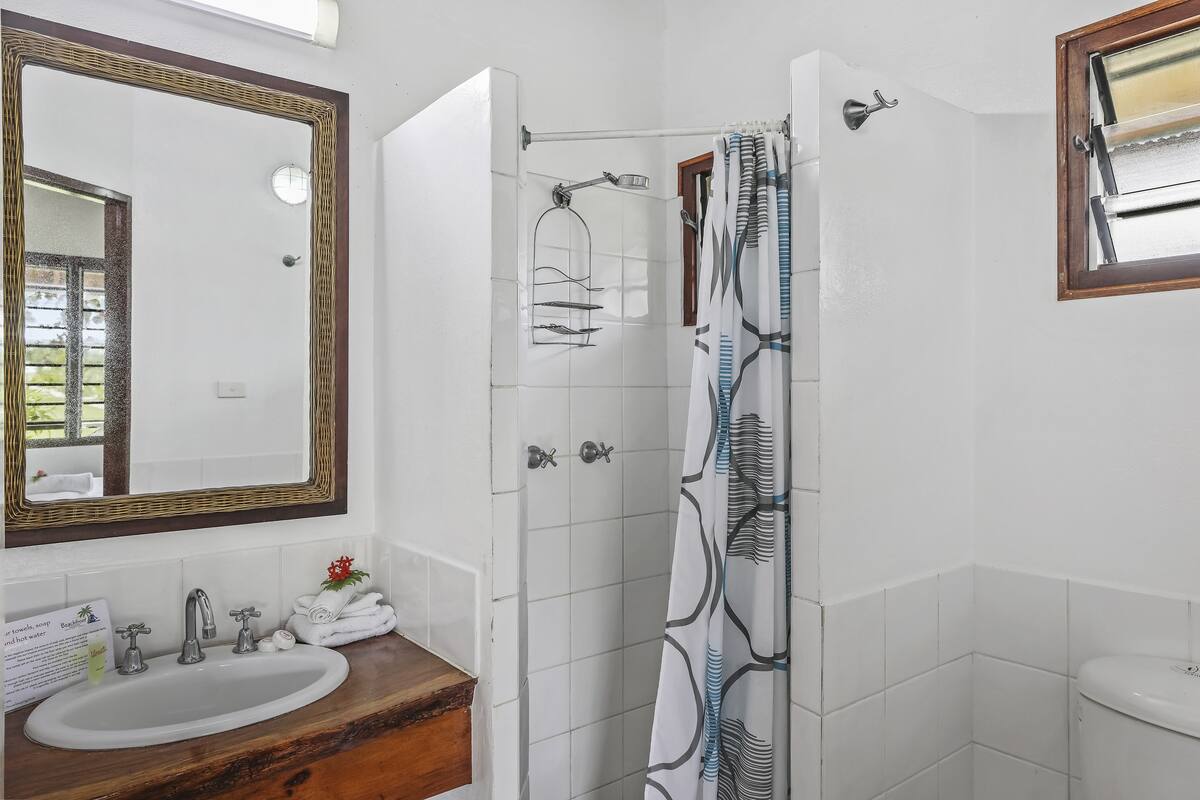dolphin ocean room | bathroom | shower, rainfall showerhead, free toiletries, hair dryer