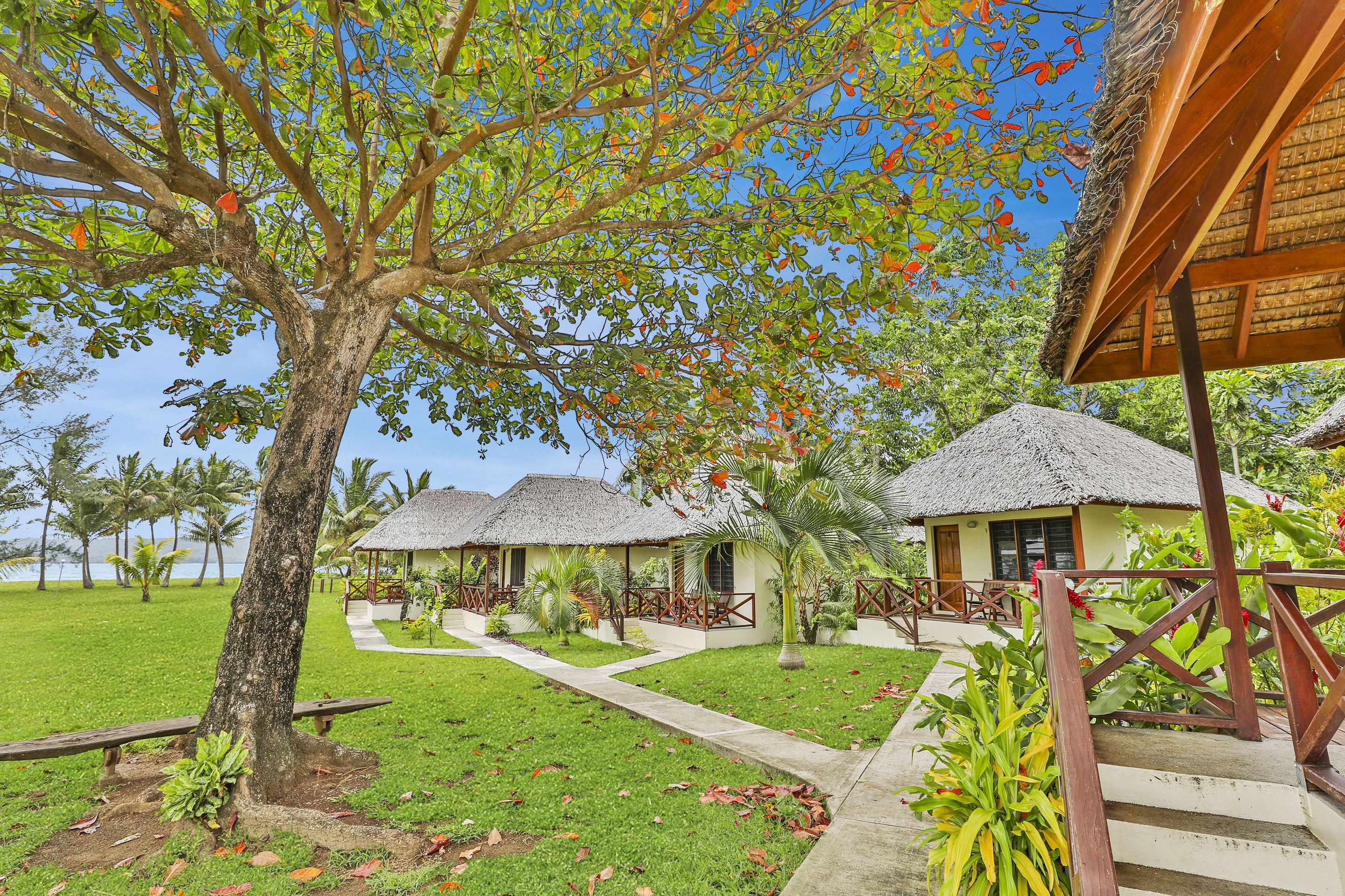 dolphin ocean room | garden view