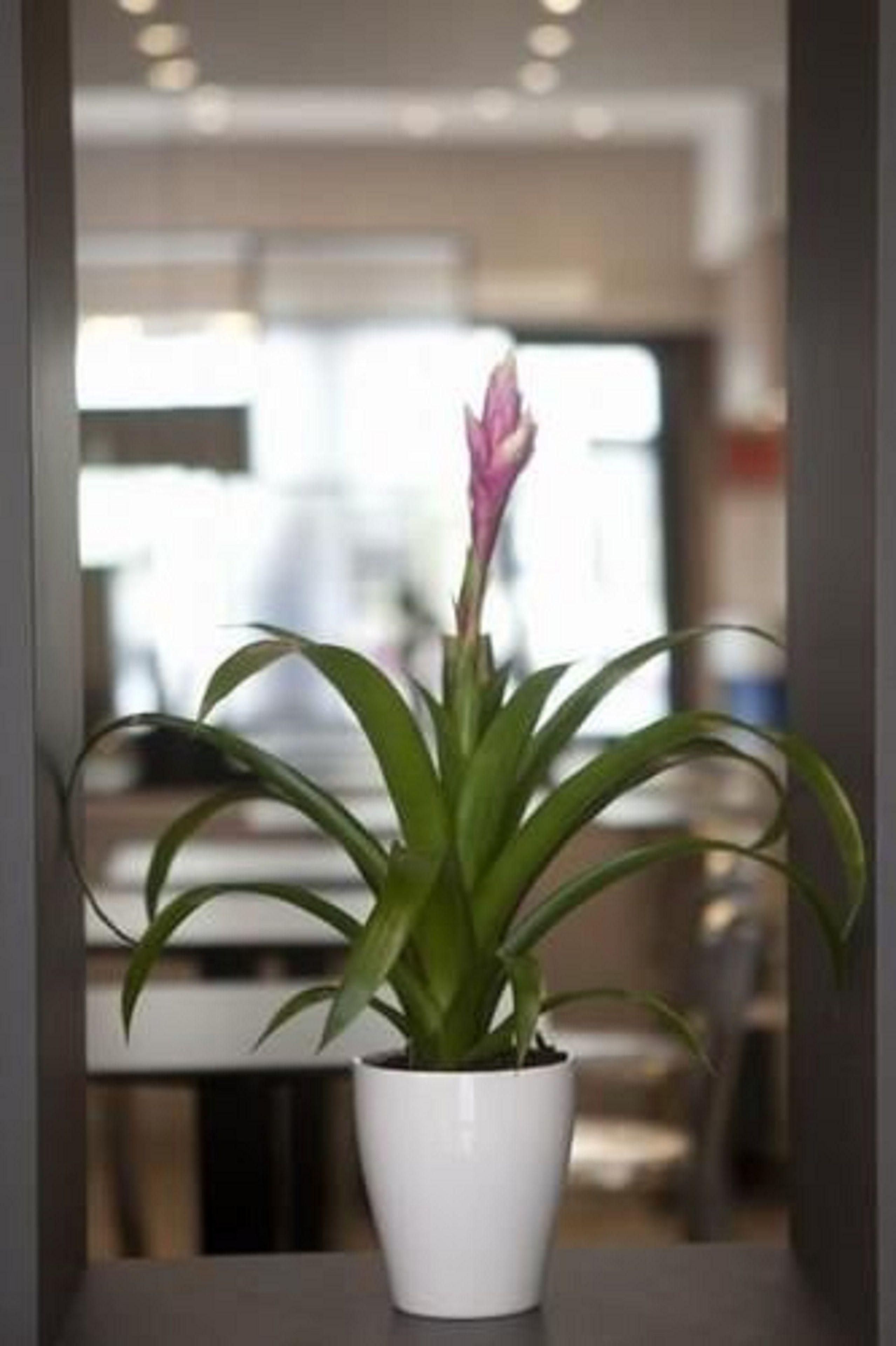 Foto - Hôtel Cecyl Reims Centre