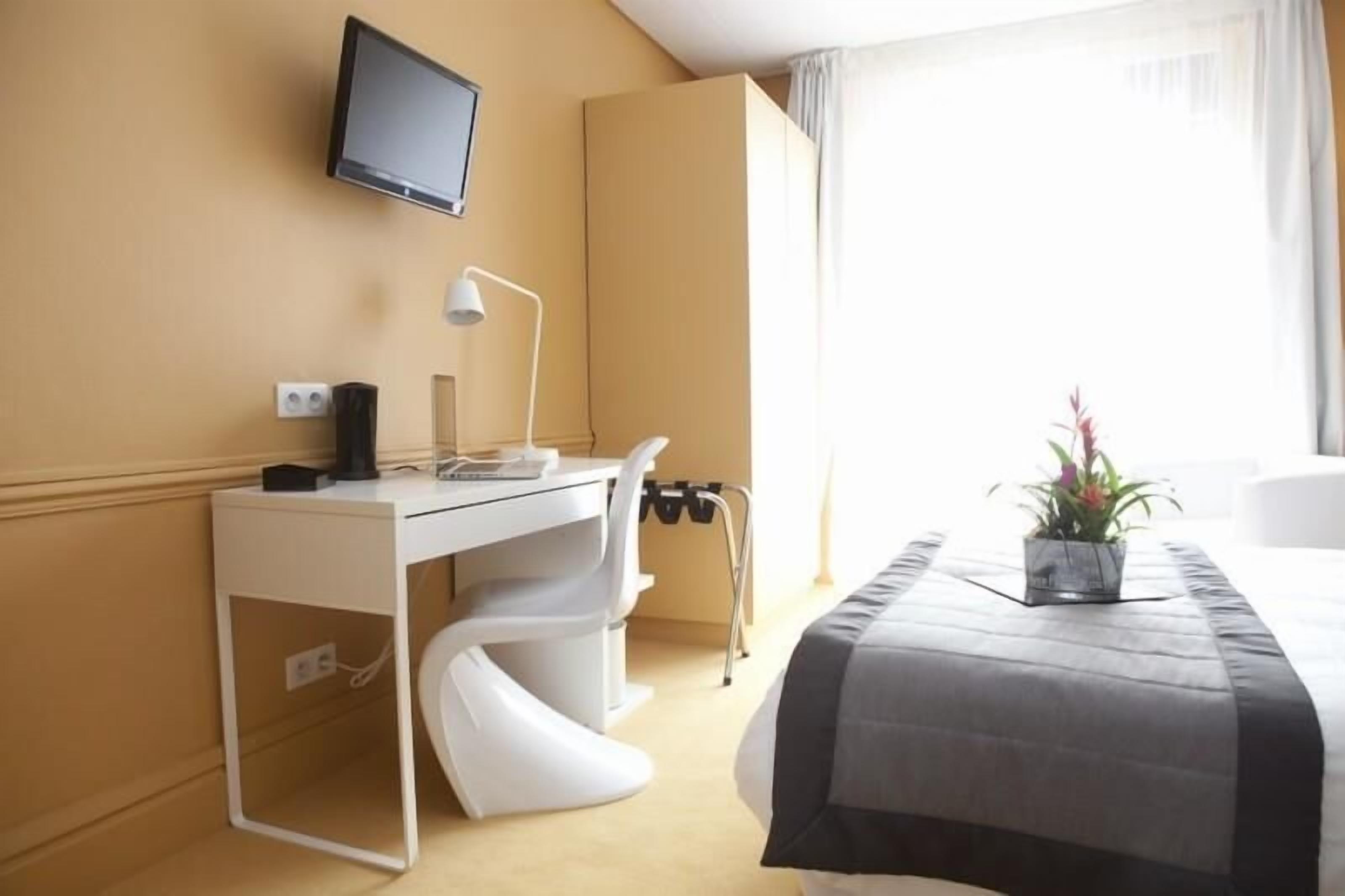 Habitació d'hotel amb un llit, escriptori, cadira, televisió, làmpada i una planta en test.