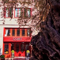 Entrada de la propiedad