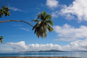 A beach with a palm tree, clear sky, and distant mountains. - Garden Island Resort (Taveuni Island East)