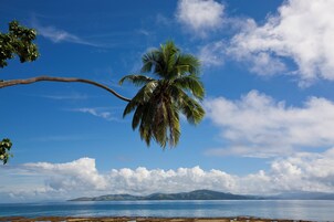 Una playa con una palmera, cielo despejado y montañas al fondo.