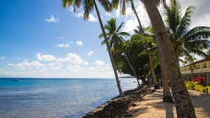 Una playa con palmeras, un muro de piedra y un edificio de fachada amarilla.