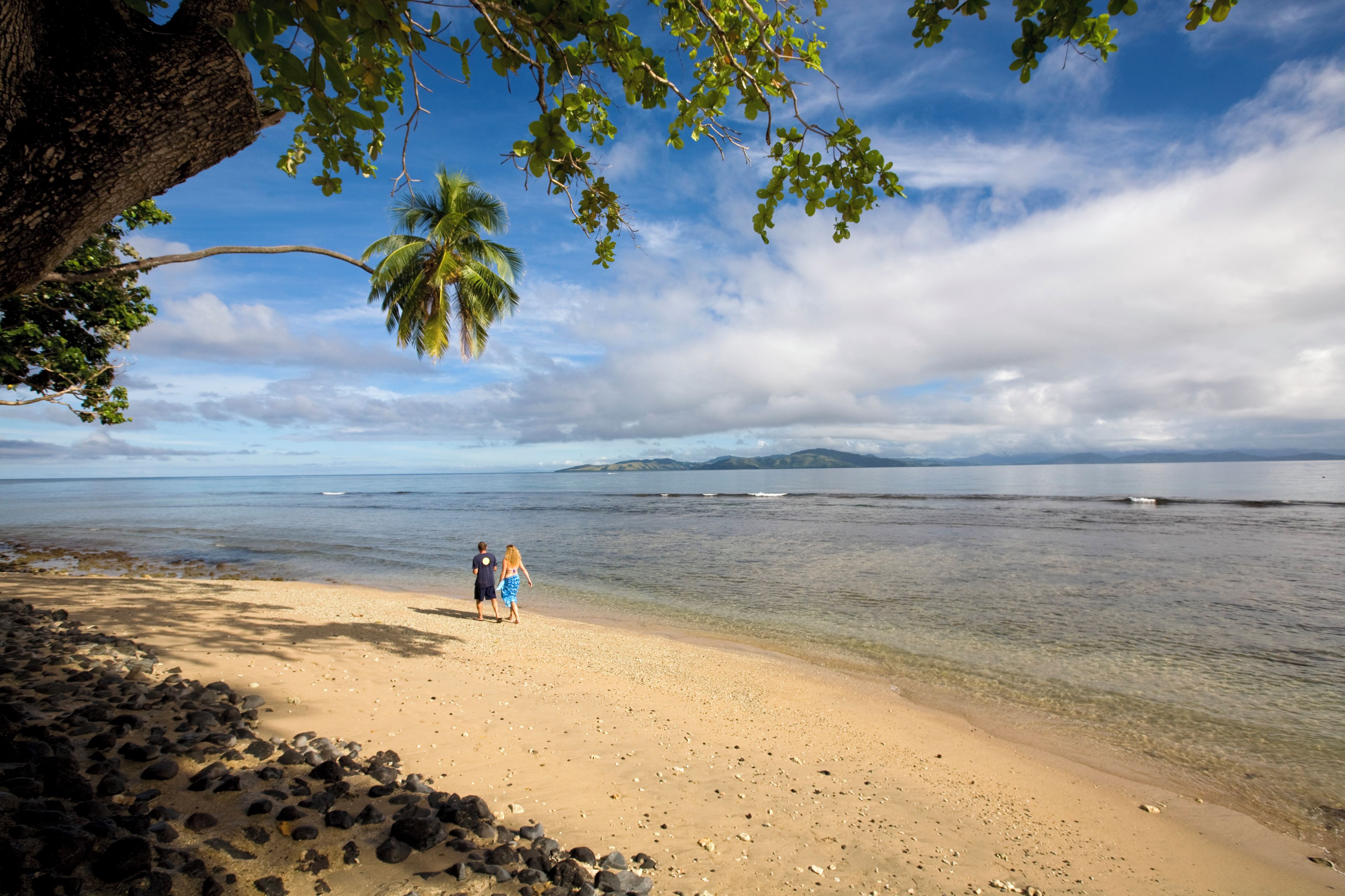 Une plage avec une eau cristalline, un palmier et une personne qui se promène.