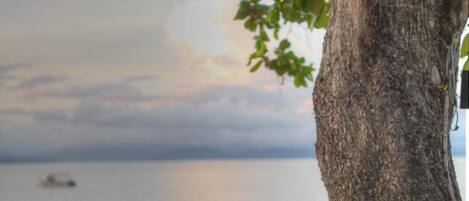 Una escultura de madera junto a un árbol en una playa pedregosa, con vista al océano y un barco a lo lejos.