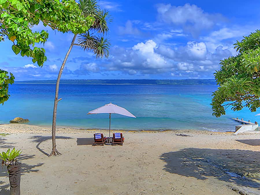 Vista desde la propiedad