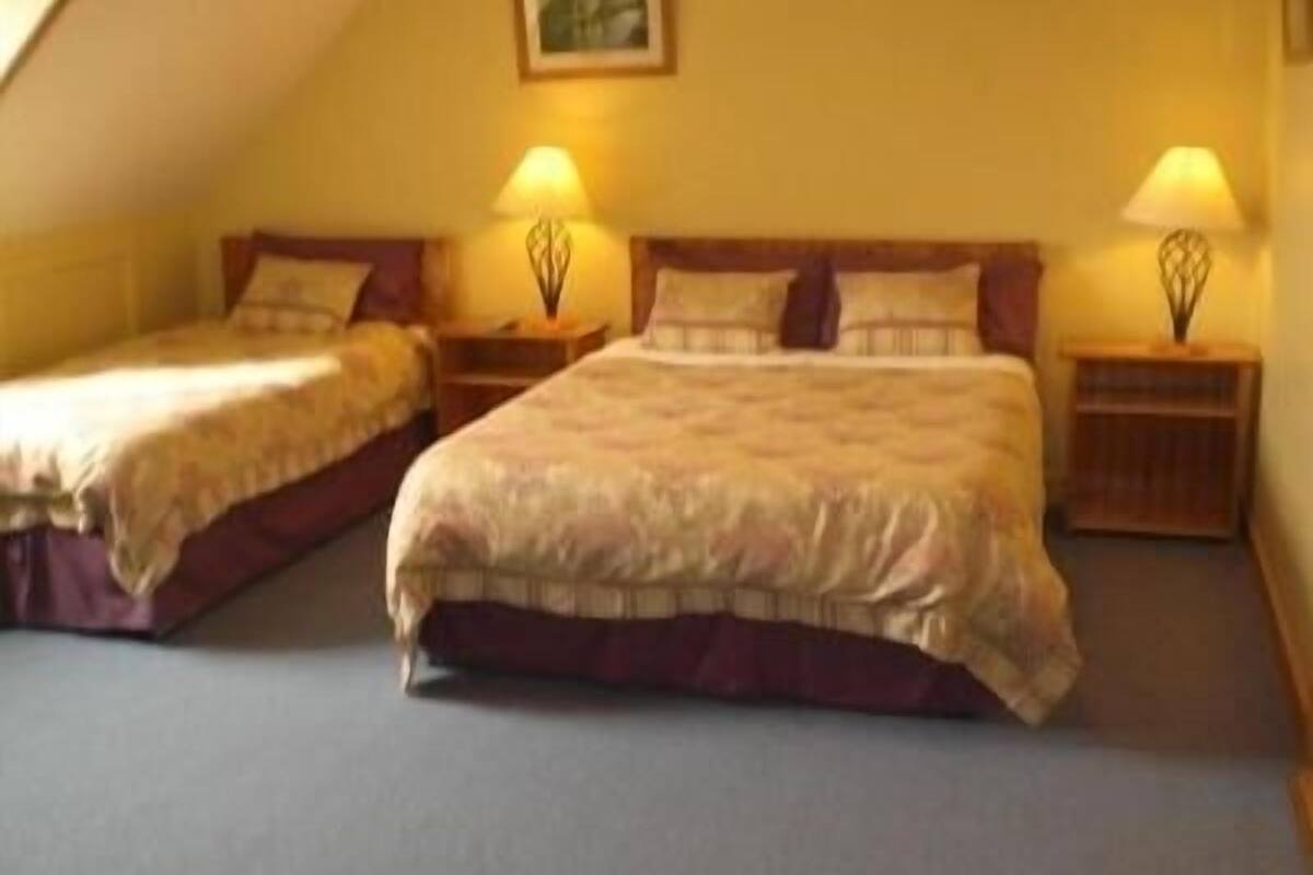 A bedroom with two beds, each with a nightstand and a lamp. The room has a sloped ceiling and a framed picture on the wall.