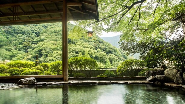 A traditional Japanese onsen with a view of lush greenery and a distant pagoda.